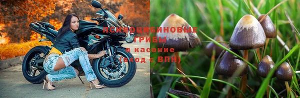 герыч Арсеньев