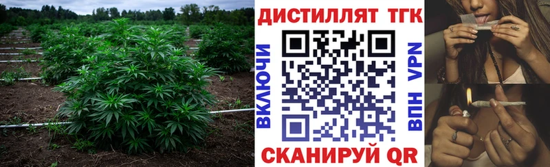 ТГК Wax как найти закладки Инза