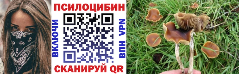 Галлюциногенные грибы Cubensis  что такое   Инза 